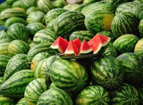 吃瓜网红韩靖格,吃瓜界的风云人物  第2张